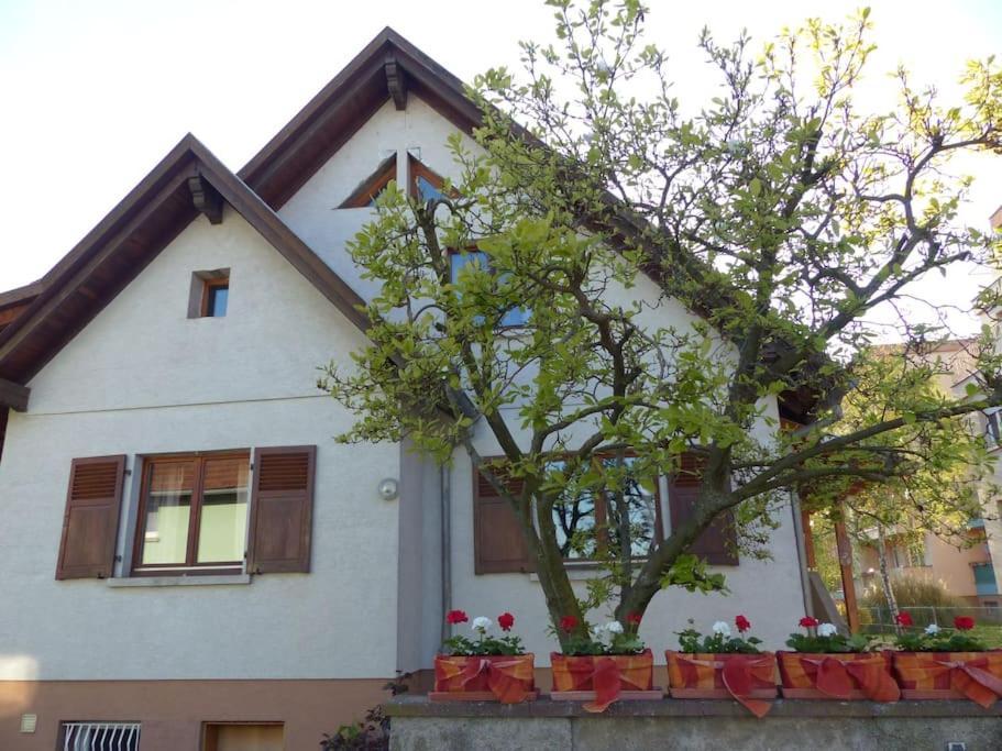 Gite Spacieux Au Coeur De L'Alsace 3*** Sélestat Zewnętrze zdjęcie