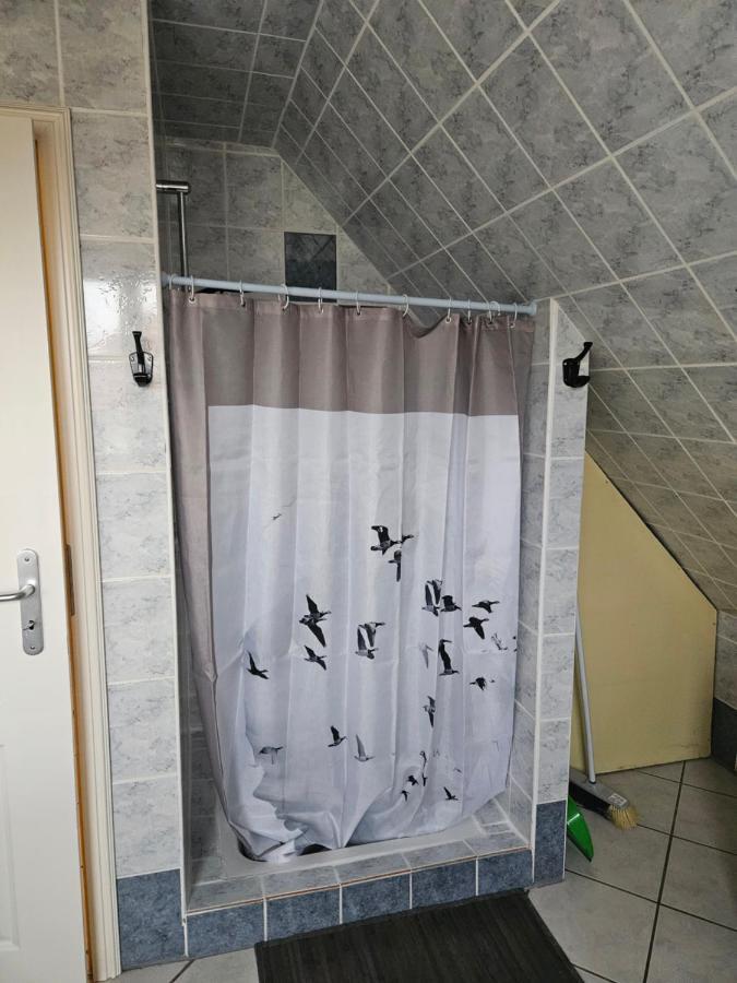 Gite Spacieux Au Coeur De L'Alsace 3*** Sélestat Zewnętrze zdjęcie